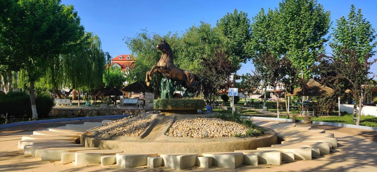 Le Vallon Vert - Club Equestre Azrou Dış mekan fotoğraf