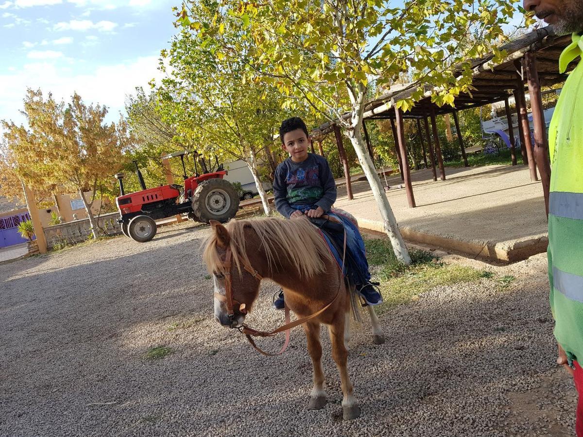 Le Vallon Vert - Club Equestre Azrou Dış mekan fotoğraf